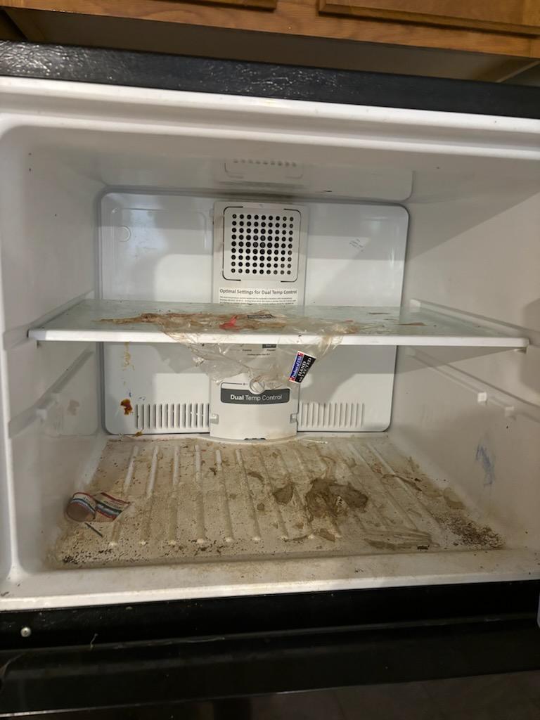 Fridge interior before cleaning